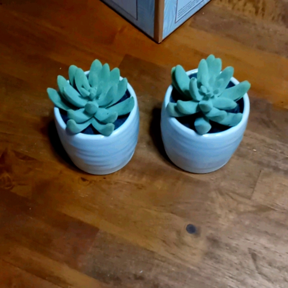 Fake plants
